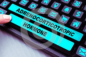 Text caption presenting Adrenocorticotropic Hormone. Business overview hormone secreted by pituitary gland cortex