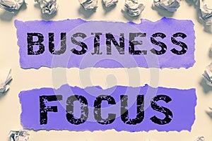 Text caption presenting Business Focus. Word for Serving the needs of the client Full attention on details