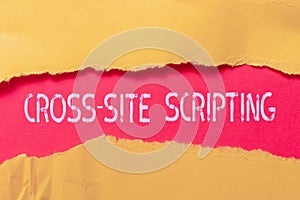 Writing displaying text Cross Site Scripting. Business overview Security vulnerability mainly found in web application