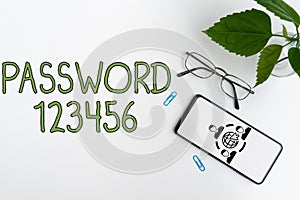 Text caption presenting Password 123456. Business approach the hidden word or expression to be used to gain access to