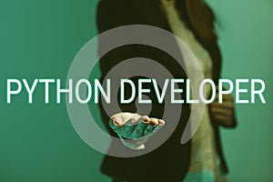 Writing displaying text Python Developer. Business showcase responsible for writing serverside web application logic