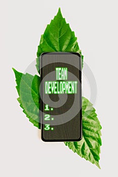 Text caption presenting Team Development. Business idea learn why and how small groups change over time with graphs