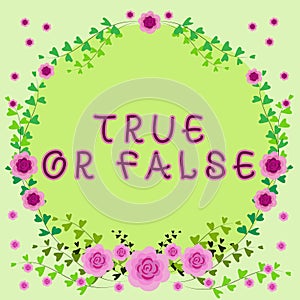 Text caption presenting True Or False. Business overview Decide between a fact or telling a lie Doubt confusion Frame