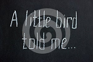 Text on chalkboard `Little bird told me`. Common phrase