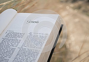 Text Chapter Genesis Holy Bible