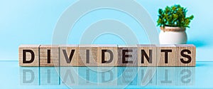 The text of the DIVIDENTS on wooden cubes, in the blu background
