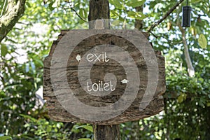 Text exit and toilet on a wooden board in a rainforest jungle of tropical Bali island, Indonesia. Exit and toilet wooden sign