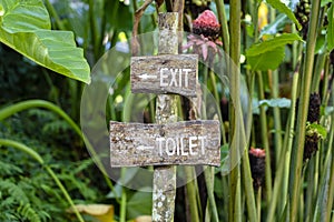 Text exit and toilet on a wooden board in a rainforest jungle of tropical Bali island, Indonesia. Exit and toilet wooden sign
