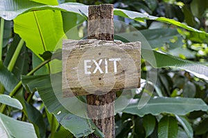 Text exit on a wooden board in a rainforest jungle of tropical Bali island, Indonesia. Exit wooden sign inscription in the asian