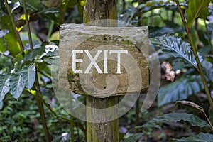 Text exit on a wooden board in a rainforest jungle of tropical Bali island, Indonesia. Exit wooden sign inscription in the asian