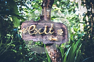 Text EXIT on a wooden plate in a rainforest jungle of tropical Bali island, Indonesia. EXIT inscription in the asian