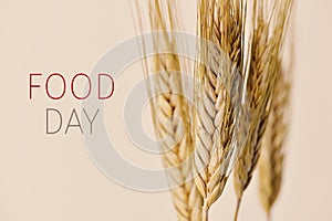 Text food day and wheat spikes