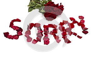 Text forgive also bouquet of red roses