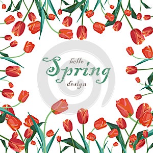 Text frame vector illustration with red spring tulips