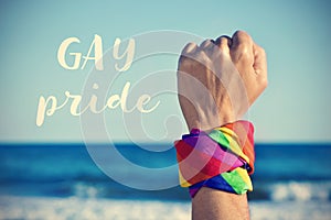 text gay pride and a raised fist with a rainbow-patterned kerchief
