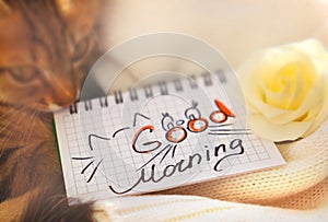 Text Good Morning on paper, notepad and rose flower. Motivation. Pretty cute kitten relaxing on the window sill. Tabby cat. Funny