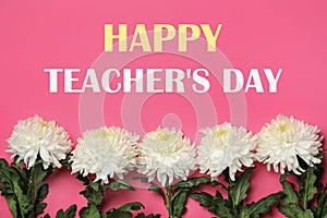 Text Happy Teacher`s Day and beautiful flowers on pink background, top view