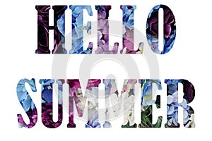 Text HELLO SUMMER from nature flowers background isolated on white
