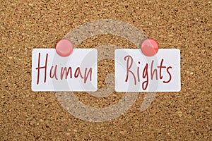 Text Human Rights