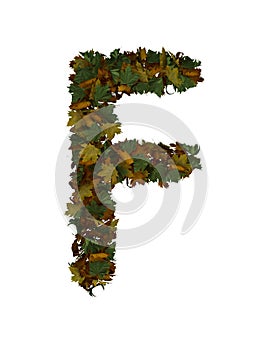 Text Made Out Of Autumn Leafe Typeface F