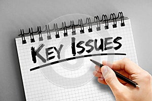 Text note - Key Issues, business concept