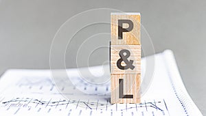 text P and L - profit and loss - acronym concept on cubes and diagrams on a gray background
