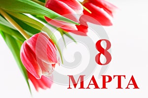 The text in Russian: from 8 March. International Women`s Day. Tulips on a white wooden table.