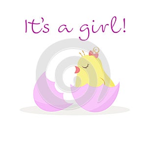 Text: It`s a girl, a cute chick hatched from an egg