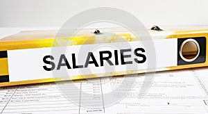 Text Salaries on the folder that is located on the financial reports