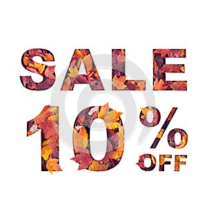 text sale 10 percent off filled with texture of red fall maple leaves