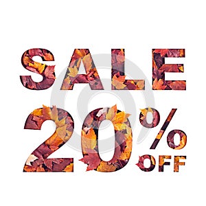 text sale 20 percent off filled with texture of red fall maple leaves