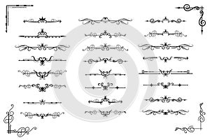 Text separator decoratice divider book typography ornament design elements