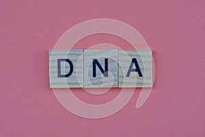 Text from the short word dna from gray square wooden letters