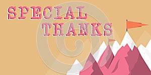 Text showing inspiration Special Thanks. Business overview expression of appreciation or gratitude or an acknowledgment