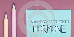 Text sign showing Adrenocorticotropic Hormone. Business showcase hormone secreted by pituitary gland cortex