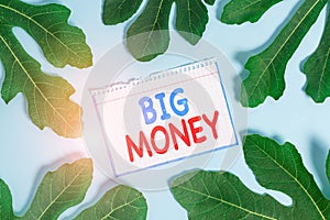 Text sign showing Big Money. Conceptual photo Pertaining to a lot of ernings from a job,business,heirs,or wins.