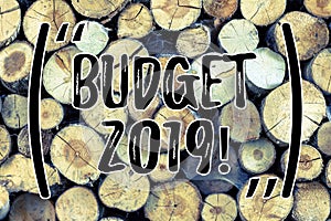 Text sign showing Budget 2019. Conceptual photo New year estimate of incomes and expenses Financial Plan Wooden