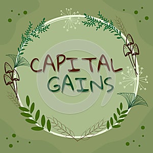 Text sign showing Capital Gains. Internet Concept Bonds Shares Stocks Profit Income Tax Investment Funds Frame Decorated