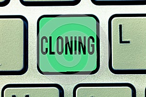 Text sign showing Cloning. Conceptual photo Make identical copies of someone or something Creating clones