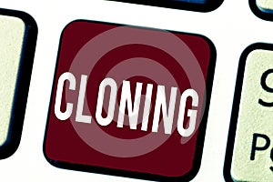 Text sign showing Cloning. Conceptual photo Make identical copies of someone or something Creating clones