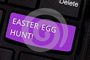 Text sign showing Easter Egg Hunt. Conceptual photo Searching special season treats presents spring tradition Keyboard