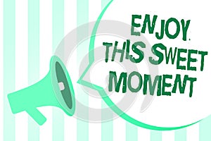 Text sign showing Enjoy This Sweet Moment. Conceptual photo encouraging someone to love his life timeline Megaphone loudspeaker gr