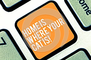 Text sign showing Home Is Where Your Cat Is. Conceptual photo Kitten lovers feline protection cute animals Keyboard key