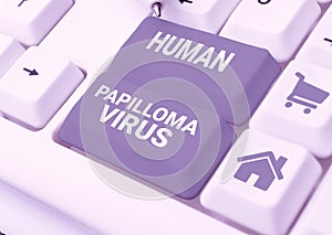 Text sign showing Human Papilloma Virus. Conceptual photo most common sexually transmitted infection disease