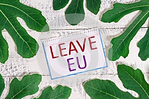 Text sign showing Leave Eu. Conceptual photo An act of a demonstrating to leave a country that belongs to Europe.