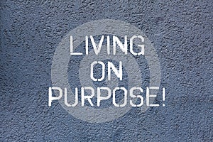 Text sign showing Living On Purpose. Conceptual photo Achieve balance between their heart and career job Brick Wall art