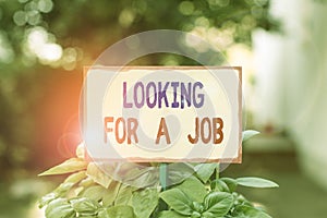 Text sign showing Looking For A Job. Conceptual photo Unemployed seeking work Recruitment Huanalysis Resources Plain