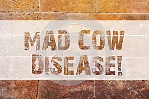 Text sign showing Mad Cow Disease. Conceptual photo Neurodegenerative lethal disease contagious eating meat Brick Wall