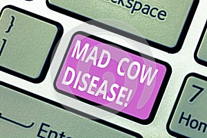 Text sign showing Mad Cow Disease. Conceptual photo Neurodegenerative lethal disease contagious eating meat Keyboard key