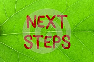 Text sign showing Next Steps. Business concept something you do or plan after you ve finished something else Nature